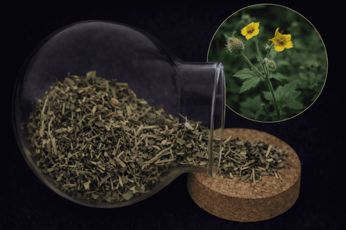 Benoîte sommité coupé