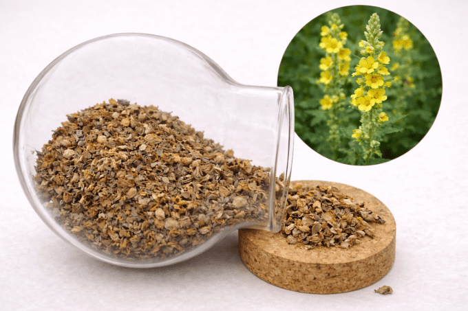 Bouillon blanc fleurs