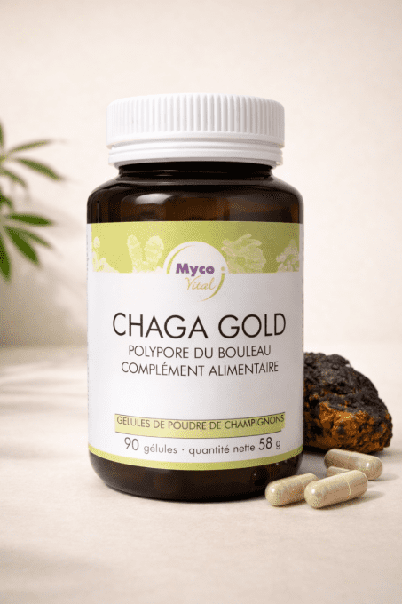 Chaga Gold 90 gélules