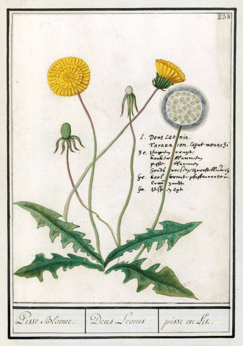 Consultation de suivi – 25 minutes