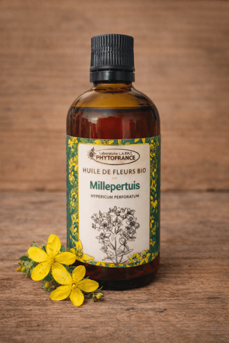 Millepertuis fleurs Bio 