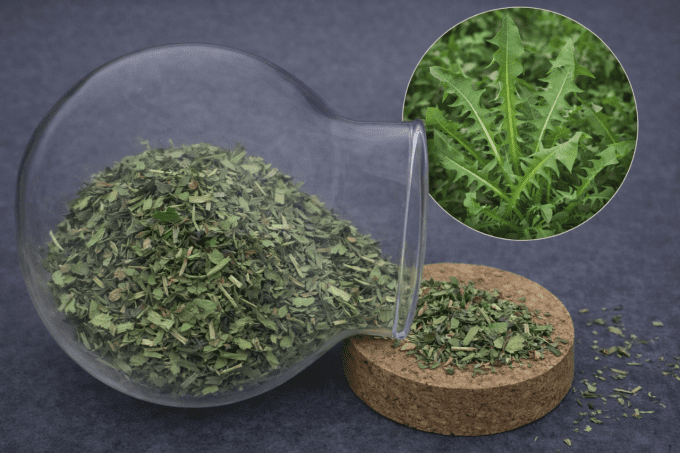 Pissenlit Bio feuille