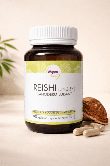 Reishi 90 gélules